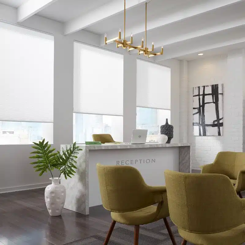 Honeycomb-Shades-gallery-4