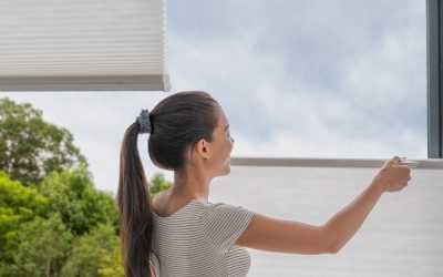 Top-Down/Bottom-Up Shades – Everything to Know